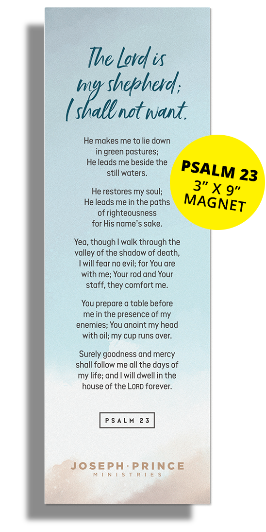 The Prayer of Protection Psalm 91 3"x9" Magnet